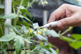15 Garden Tech Gadgets 2023